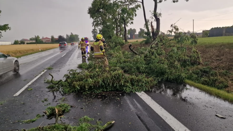 22 interwencje po burzy w powiecie tczewskim
