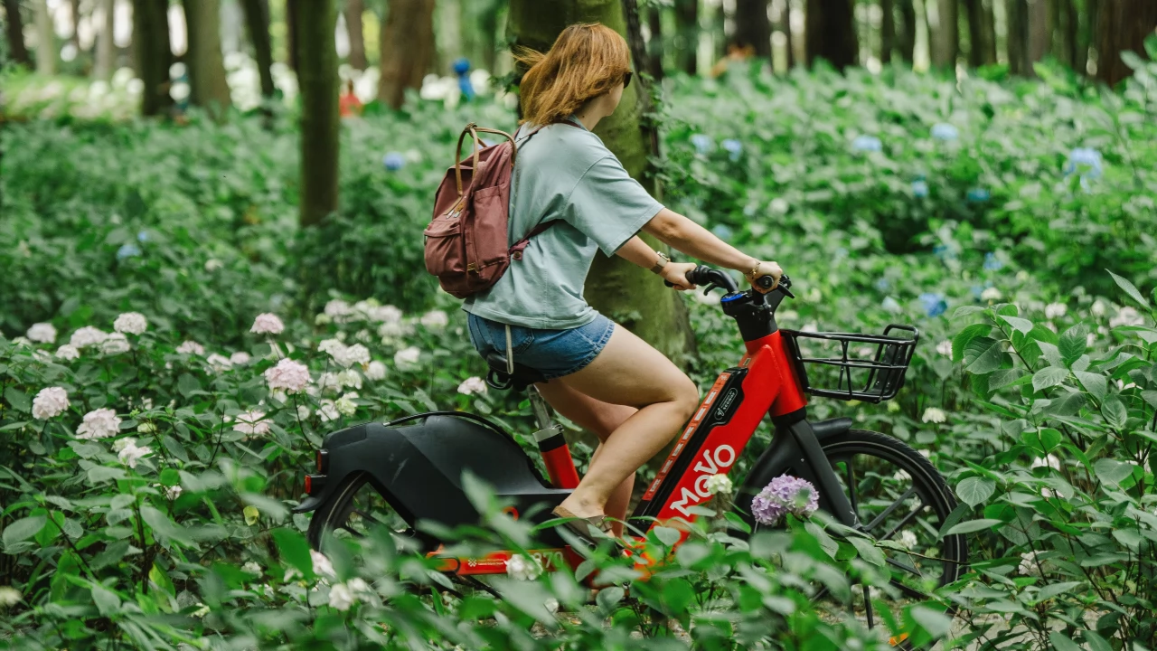 22 września - Dzień bez Samochodu z rowerem MEVO