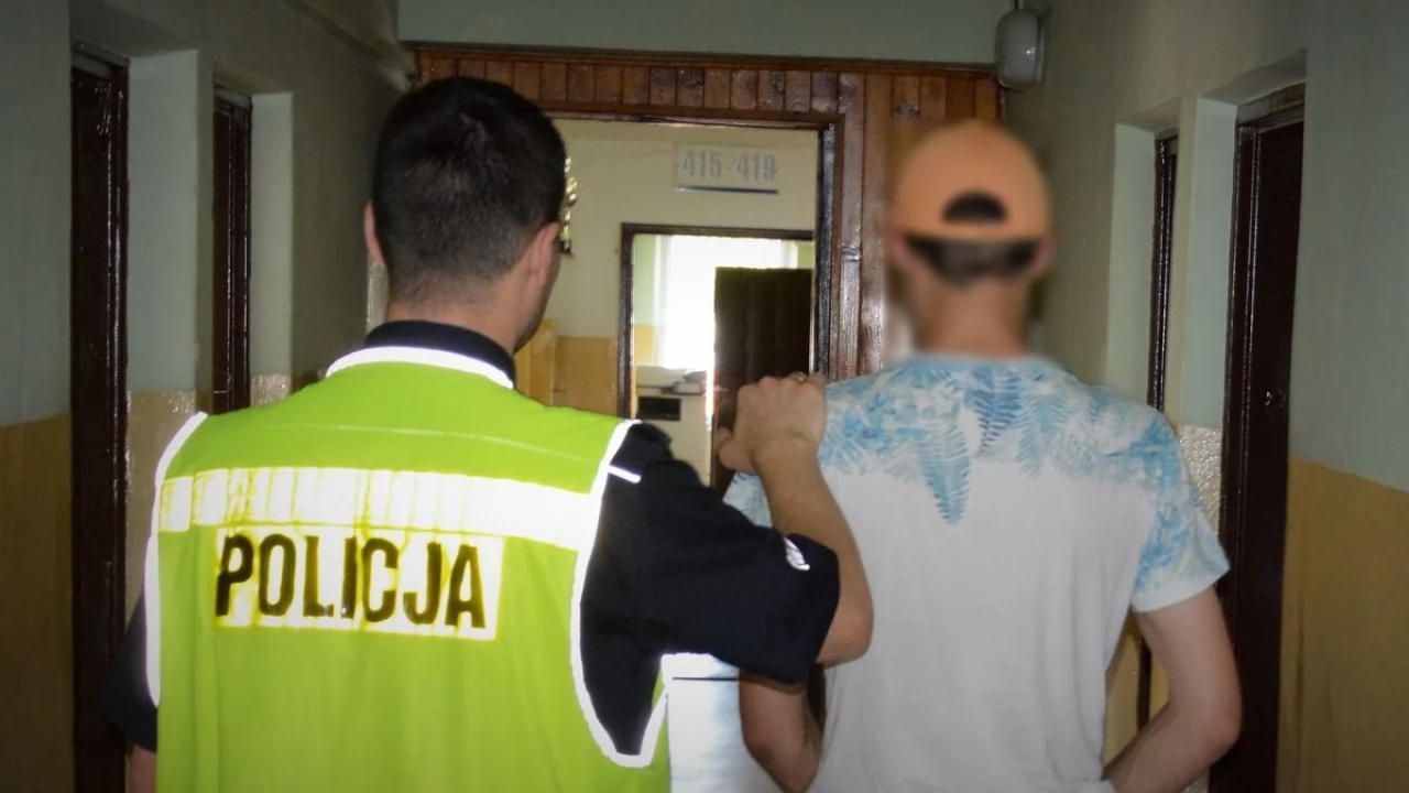 25-latek odpowie za kradzież deski surfingowej
