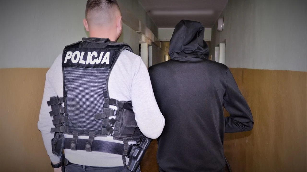 25-latek odpowie za kradzieże sklepowe