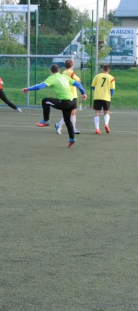 ALPN 2015