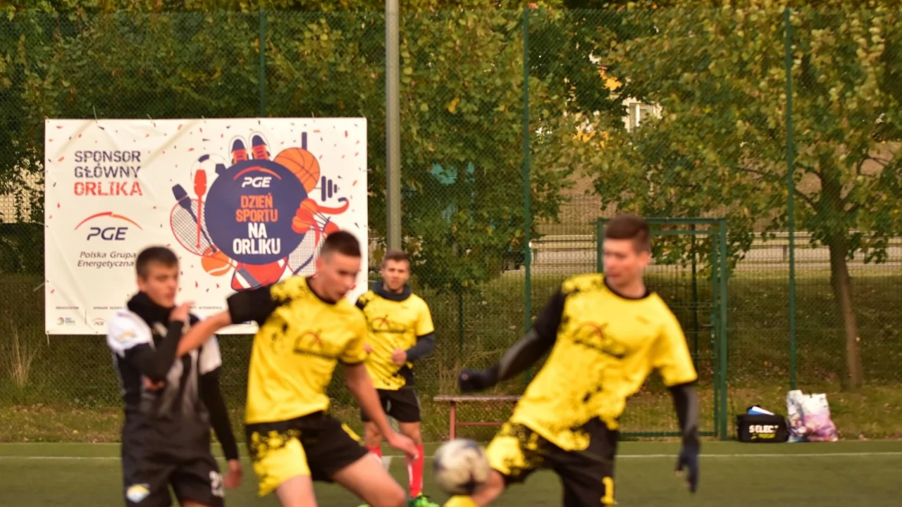 ALPN. Grała II liga