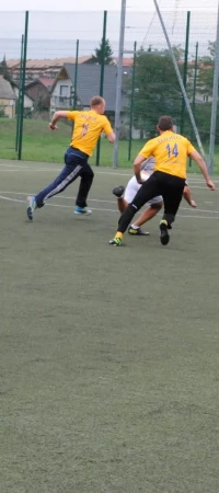 ALPN 2015