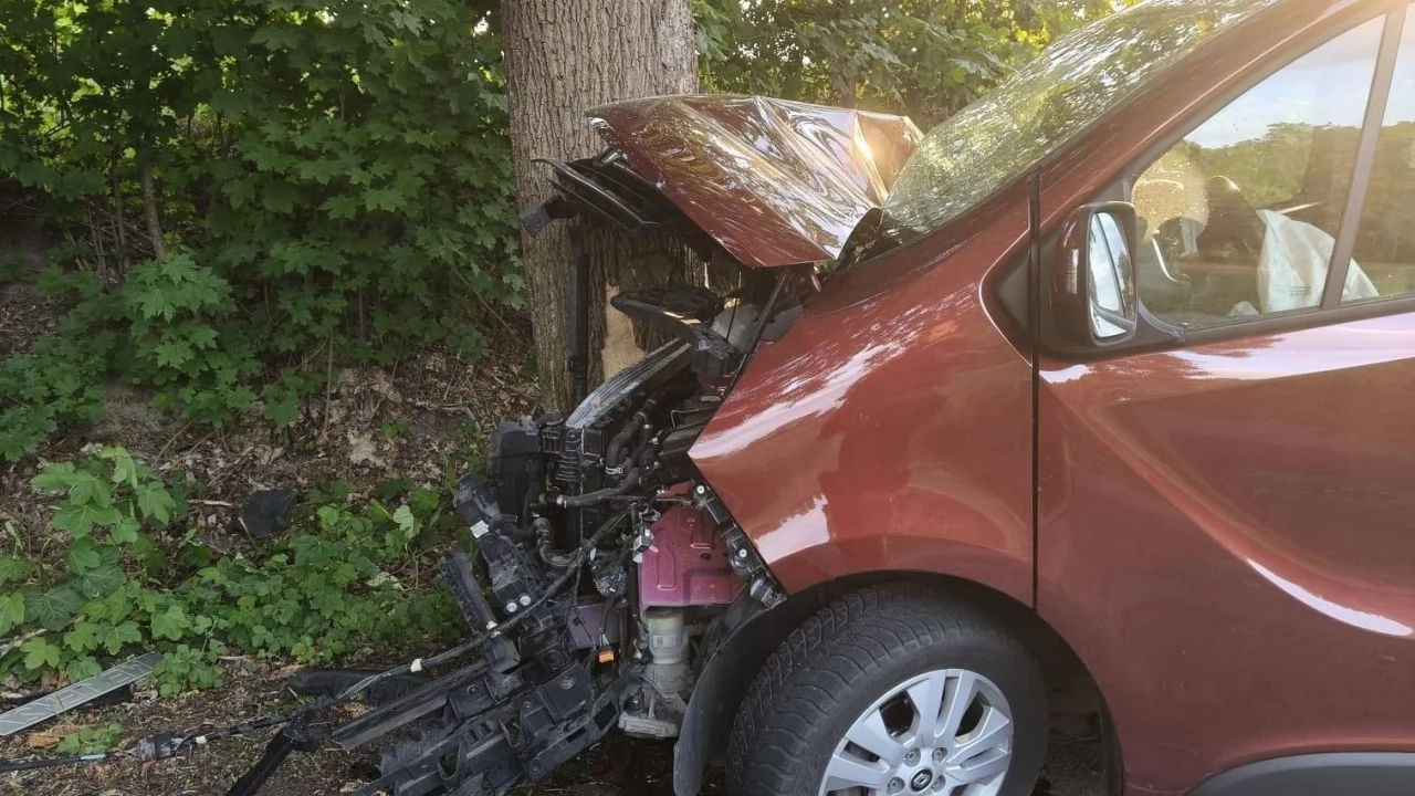 Auto na drzewie i brak kierowcy. Ruszyły poszukiwania...