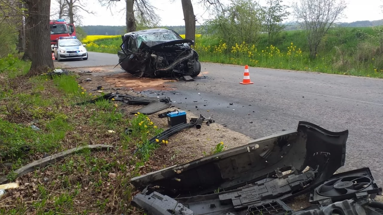 Auto uderzyło w drzewo. Matka i kilkuletnie dziecko w szpitalu