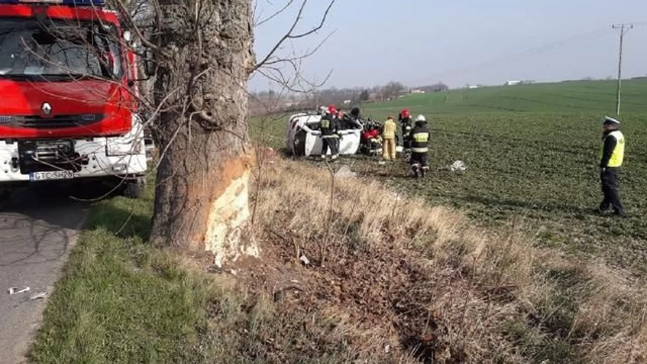 Auto wjechało w drzewo. Nie żyje kierowca