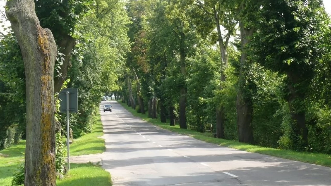 Bałdowska na razie poczeka