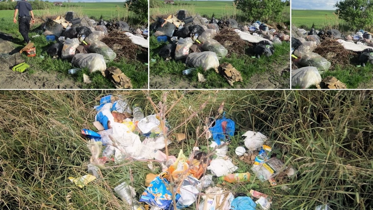 "Będziemy monitorować dzikie wysypiska w rejonie działek przy ulicy Czyżykowskiej"