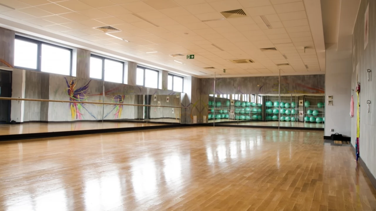 BODY SHAPE w RokitkiPark