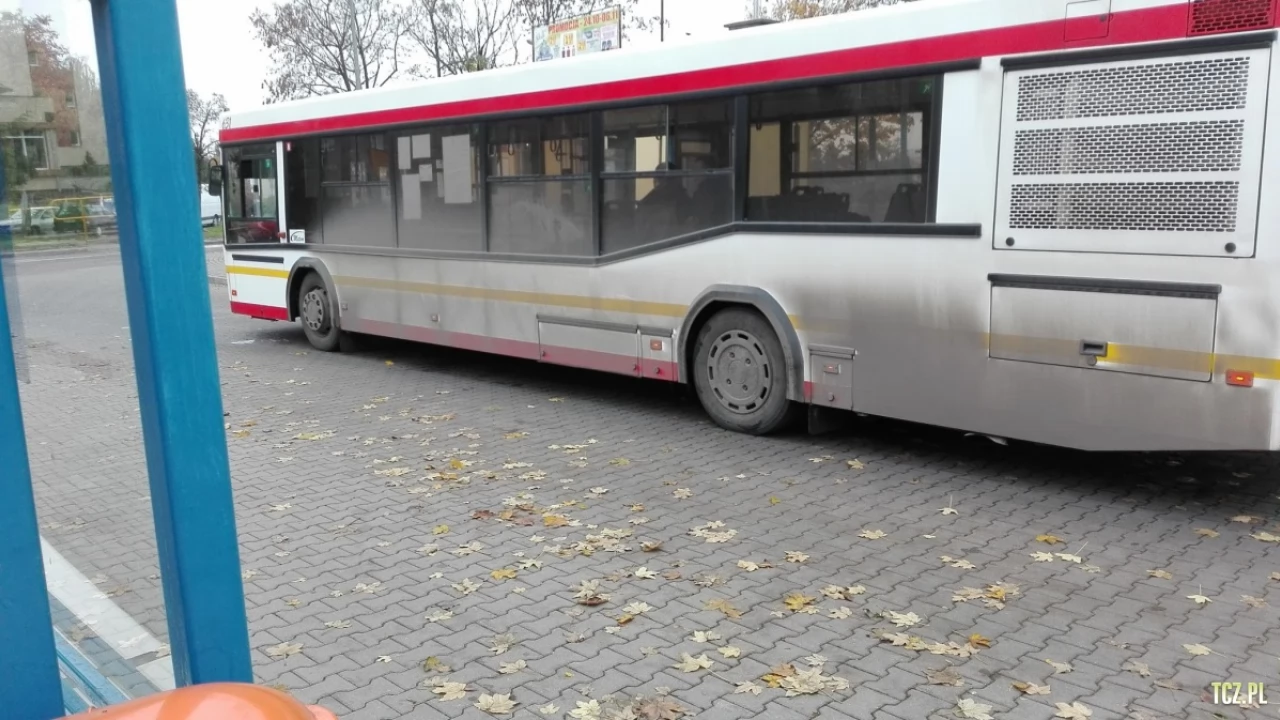 Brudne autobusy
