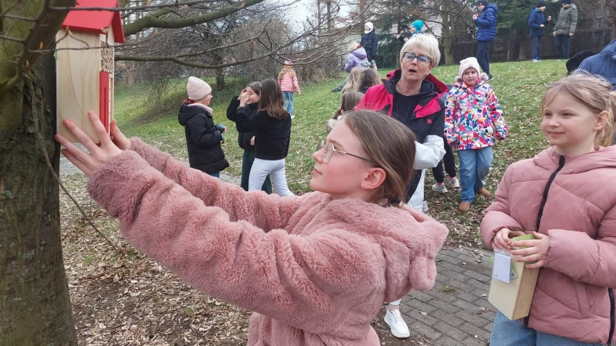 Budki lęgowe dla ptaków przy SP4