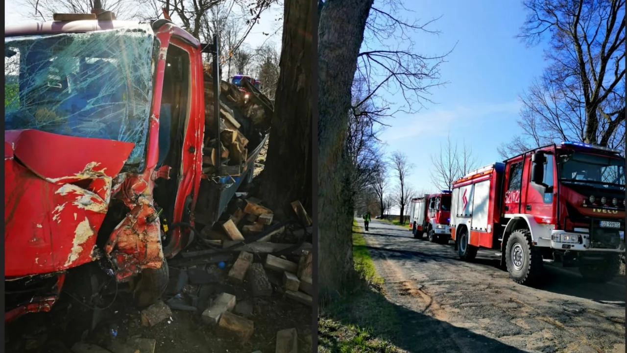 Bus uderzył w drzewo na lokalnej trasie