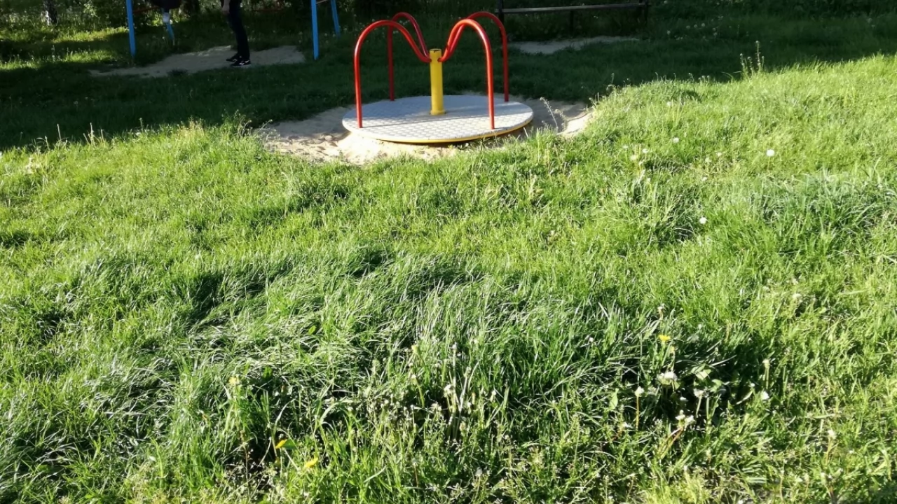 Busz na Armii Krajowej