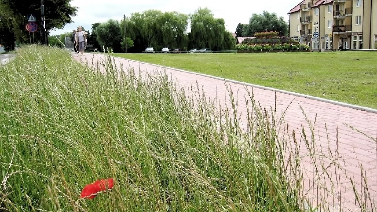 Co z tą Jagiellońską?