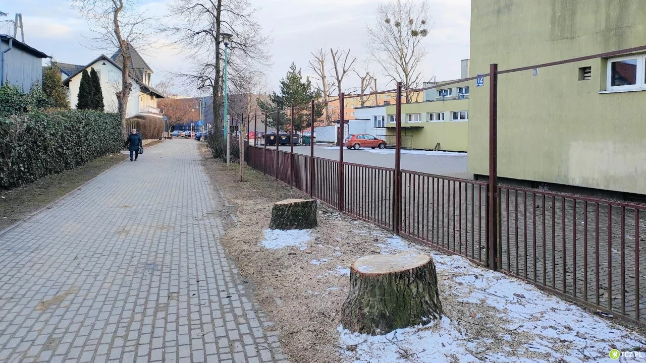 Cztery topole poszły pod topór