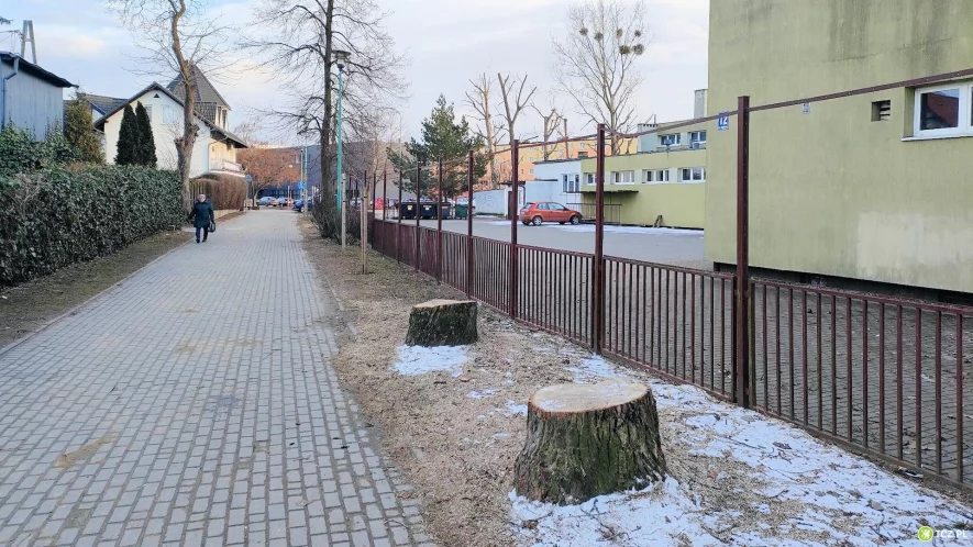 Cztery topole poszły pod topór