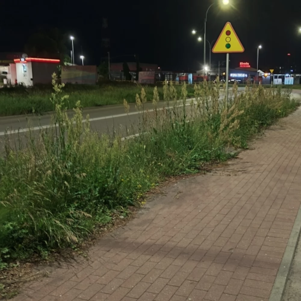 Czy ktoś kosi trawę?