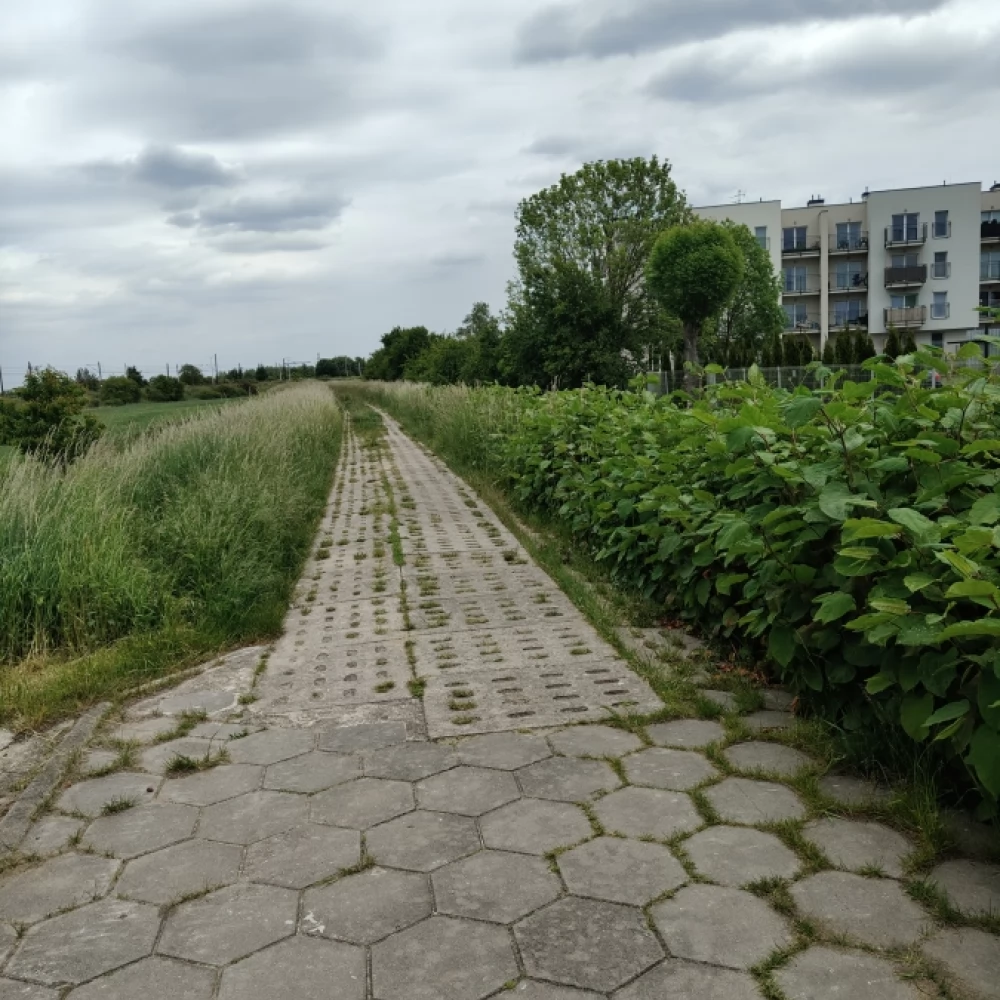 Czy lecą z nami w kulki?