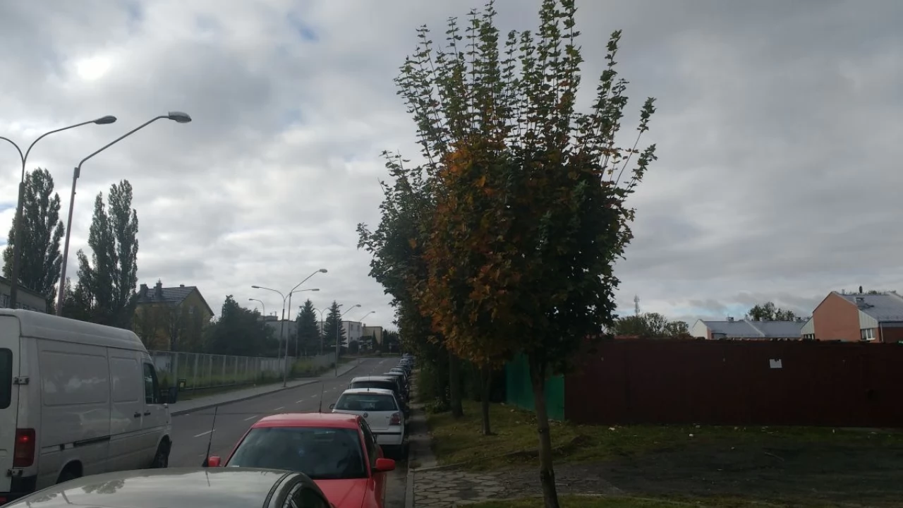 Czy os. Kolejarz ma szansę ma miejsce rekreacji?