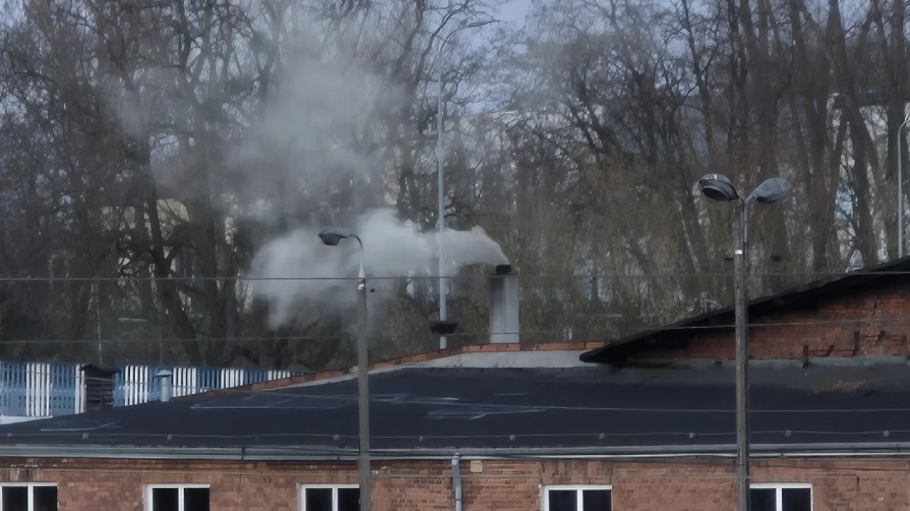 "Czyste powietrze" w centrum miasta