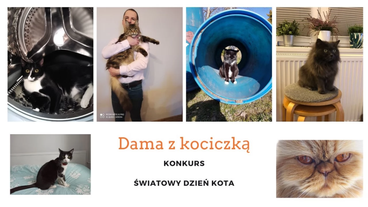 Dama z kociczką - konkurs fotograficzny ONLINE z okazji Światowego Dnia Kota