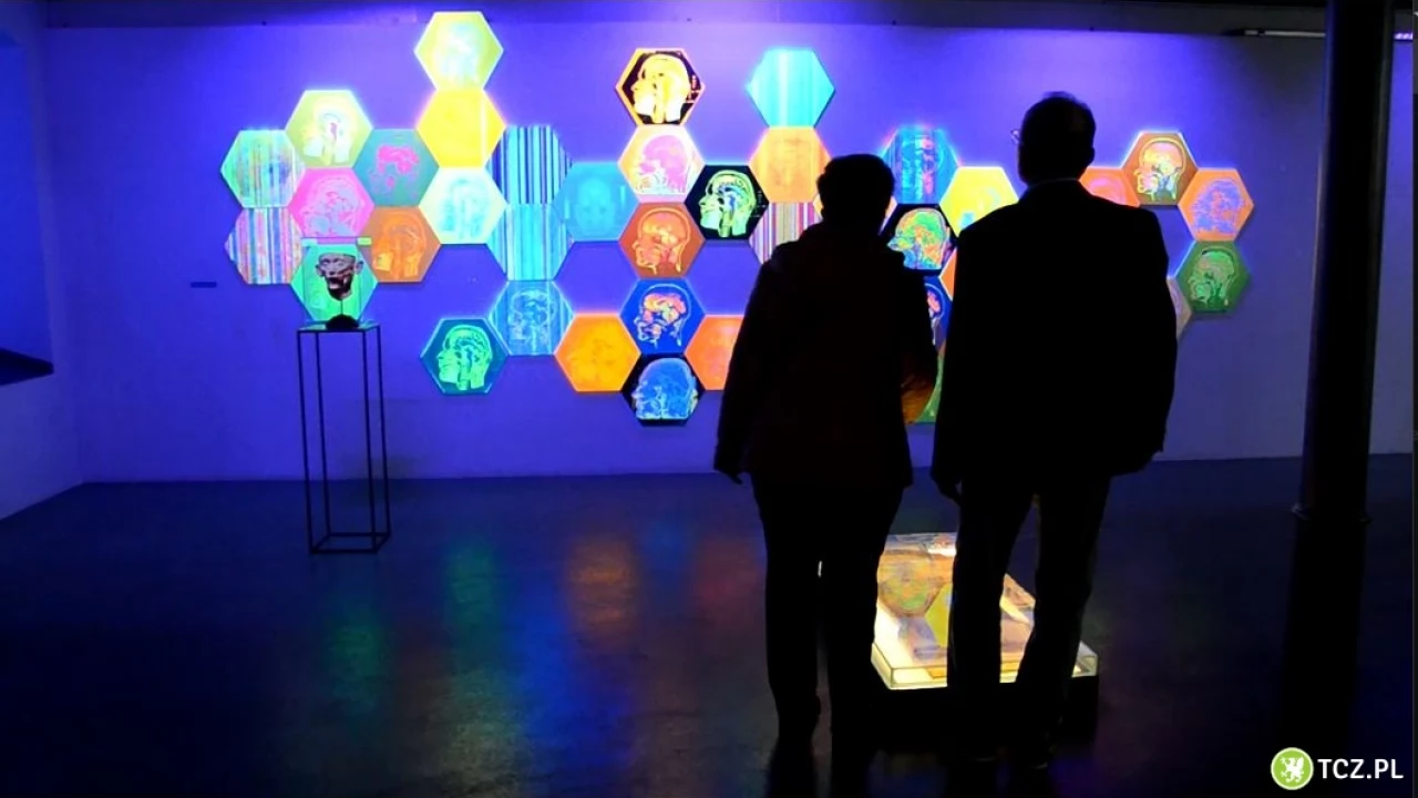 Dla kogo nagroda za działalność kulturalną w 2024 r.?