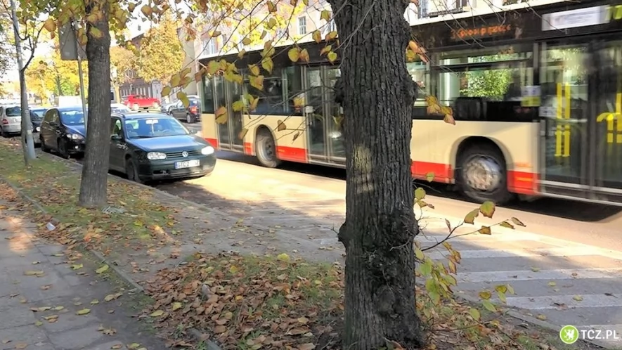 Dodatkowe linie autobusowe dowiozą na cmentarze