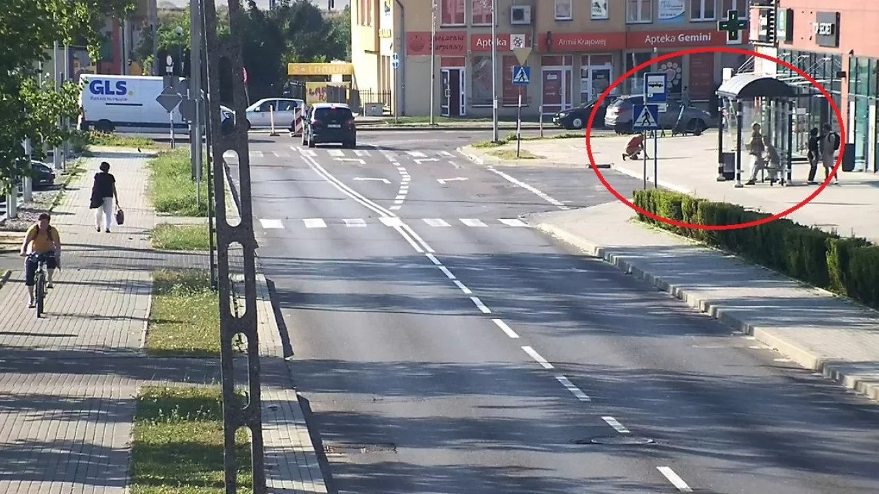 Dog argentyński pogryzł mężczyznę na przystanku! Opiekunka uciekła