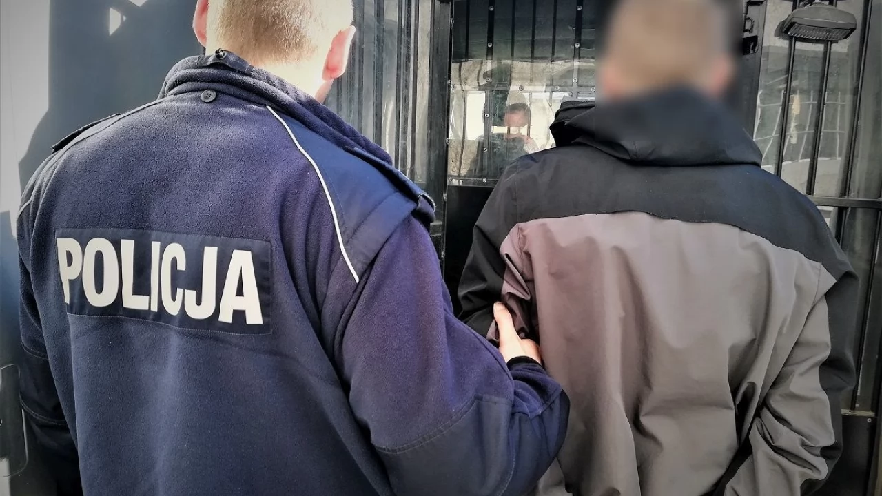 Dozór za kradzieże. Straty na ponad 9 tys. zł