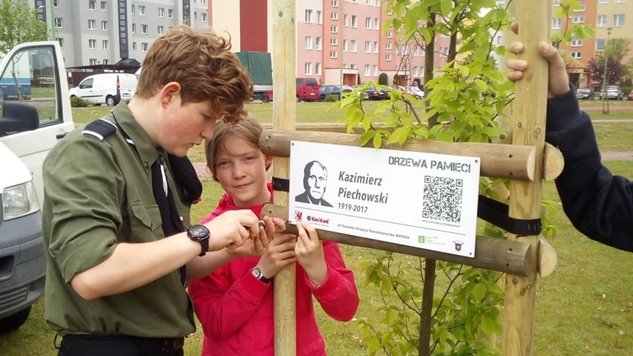 Drzewa pamięci dla harcerskich bohaterów