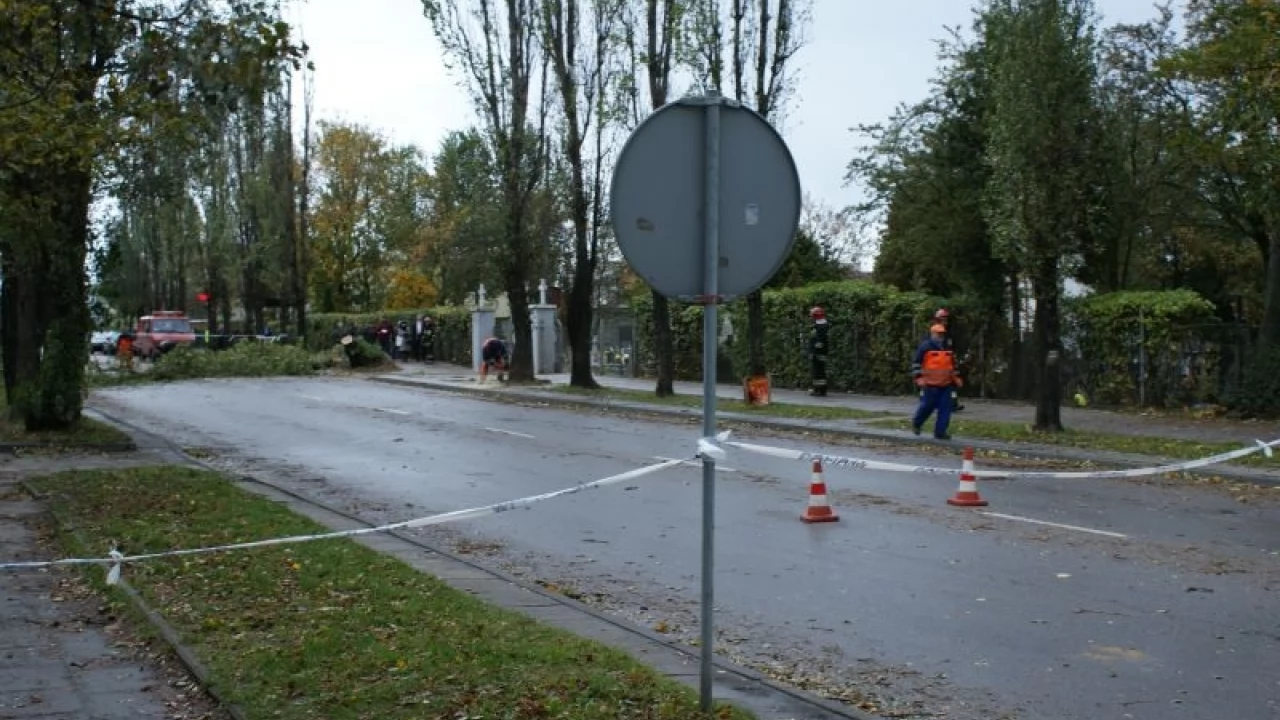 Drzewa połamały się przy cmentarzu
