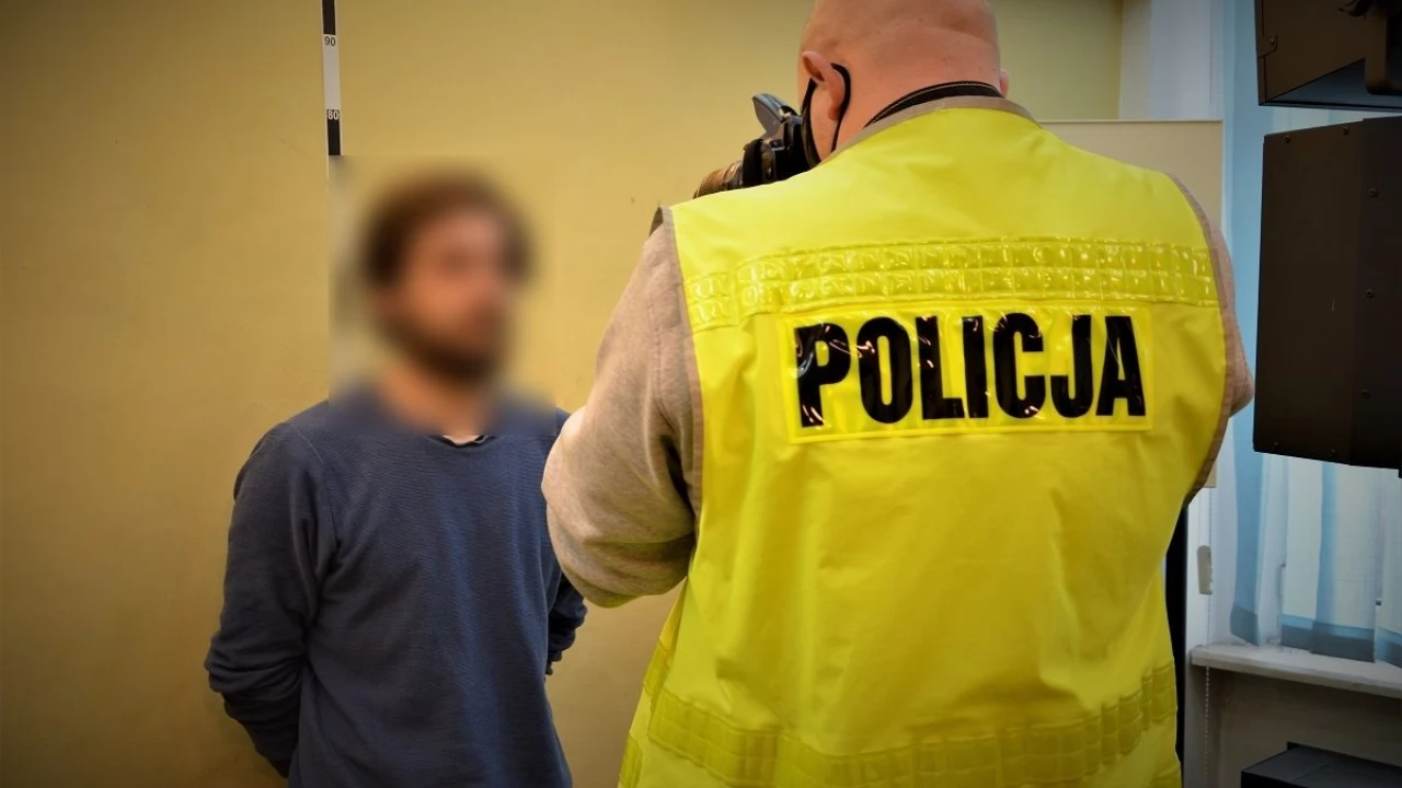Dwaj Gruzini zatrzymani na A1 odpowiedzą za kradzież