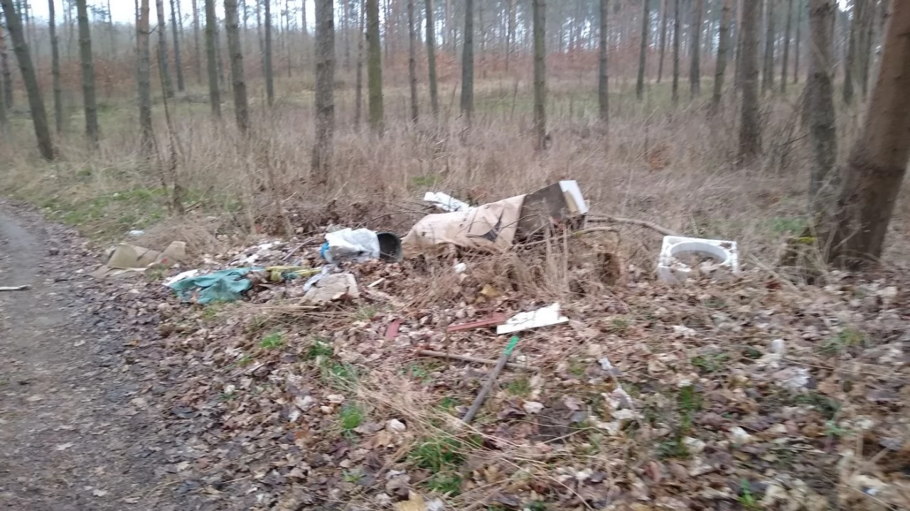 Dzikie wysypiska w lasach. Dlaczego niszczycie przyrodę?