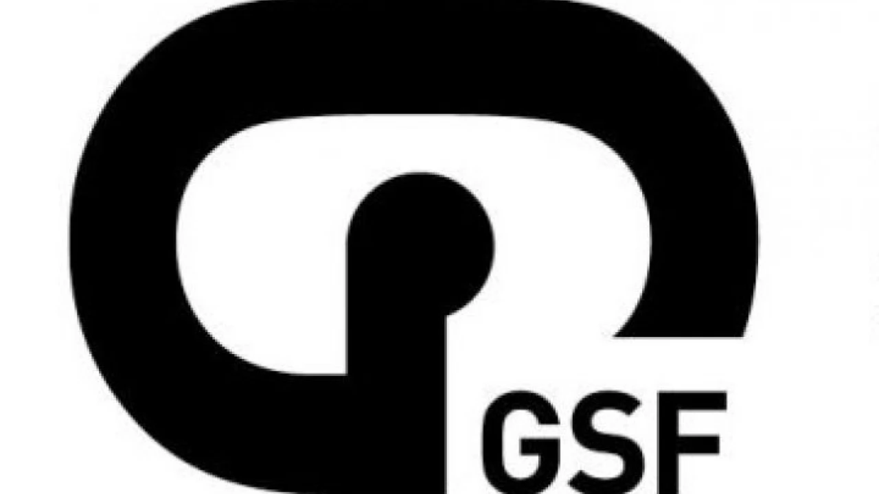 Gdyńska Szkoła Filmowa - projekcje filmów
