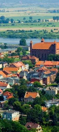 Gniew