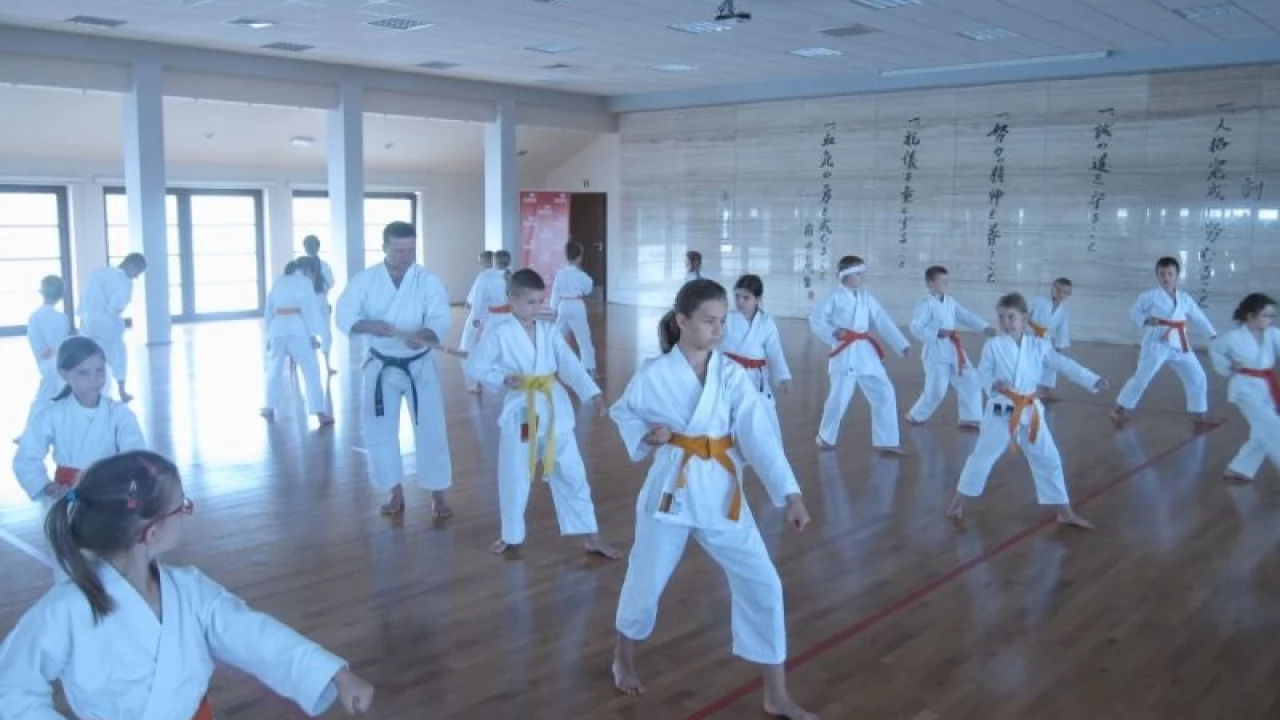 Gniewscy karatecy w "Małej Japonii"