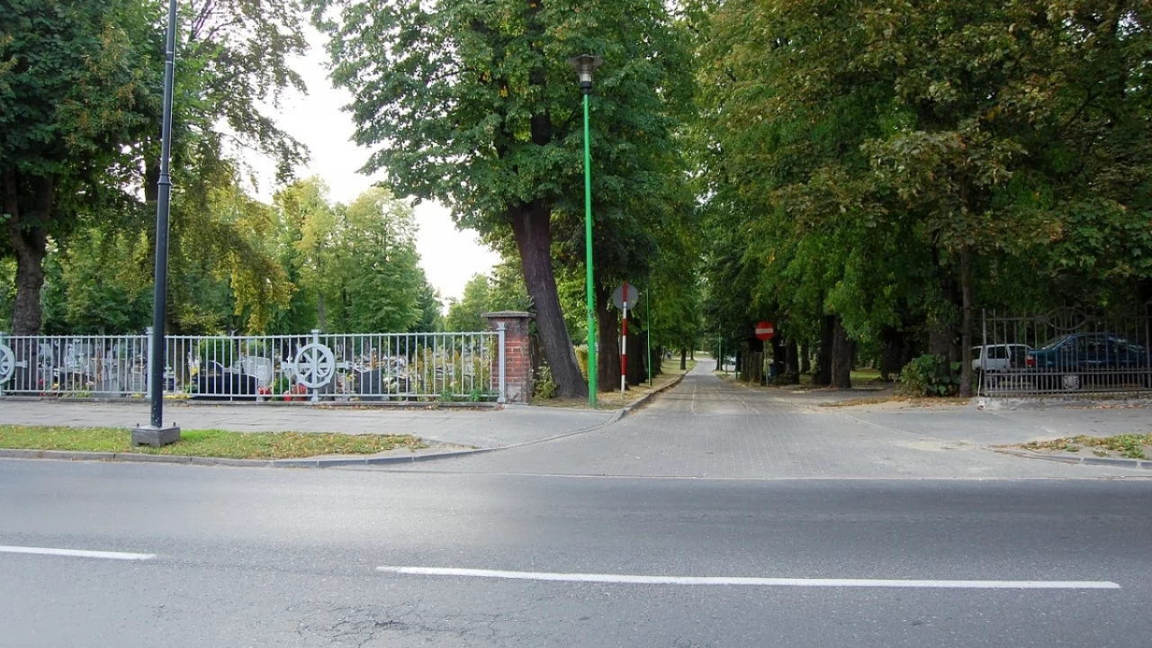 Hieny cmentarne. Złodzieje kwiatów
