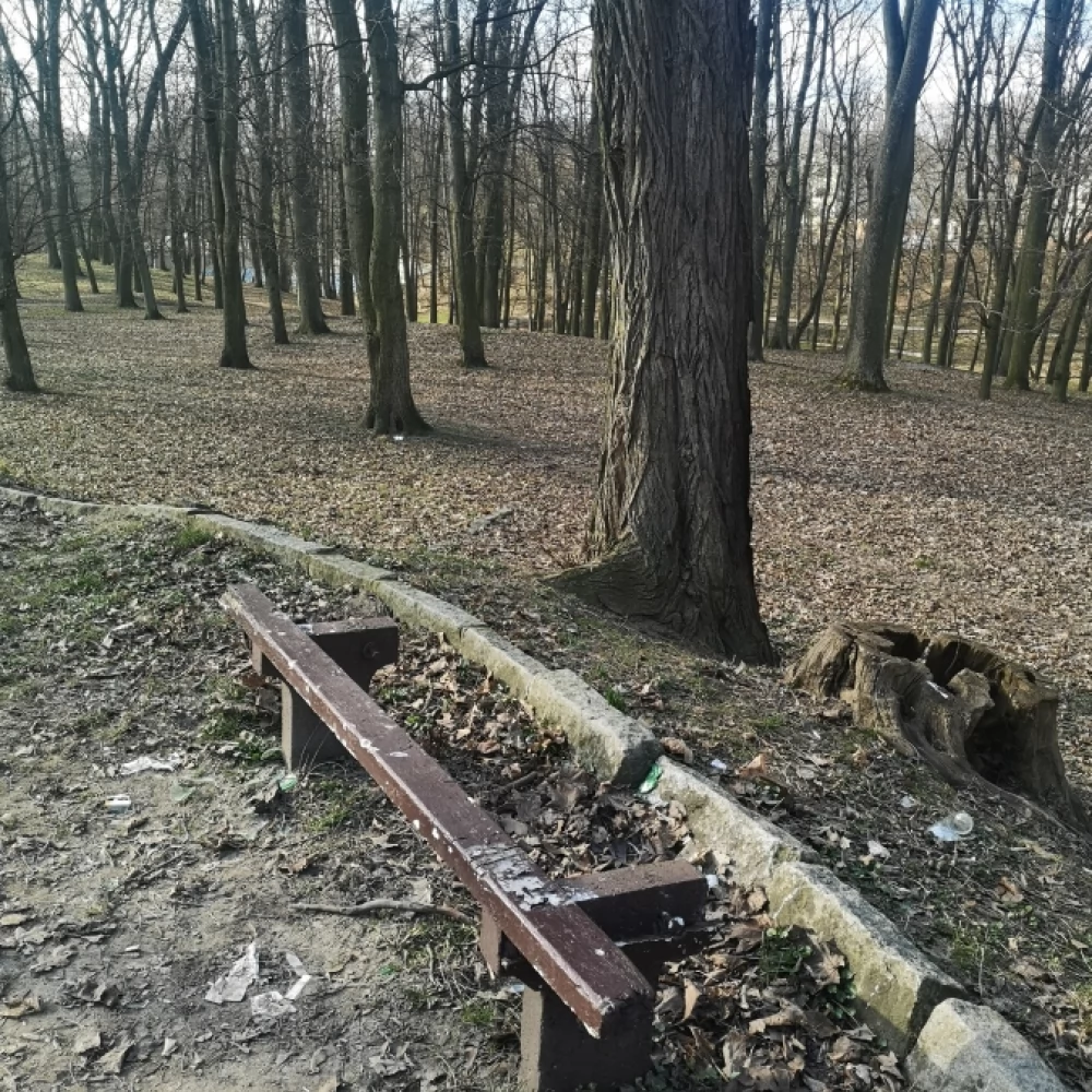 I gdzie usiąść w tym parku?