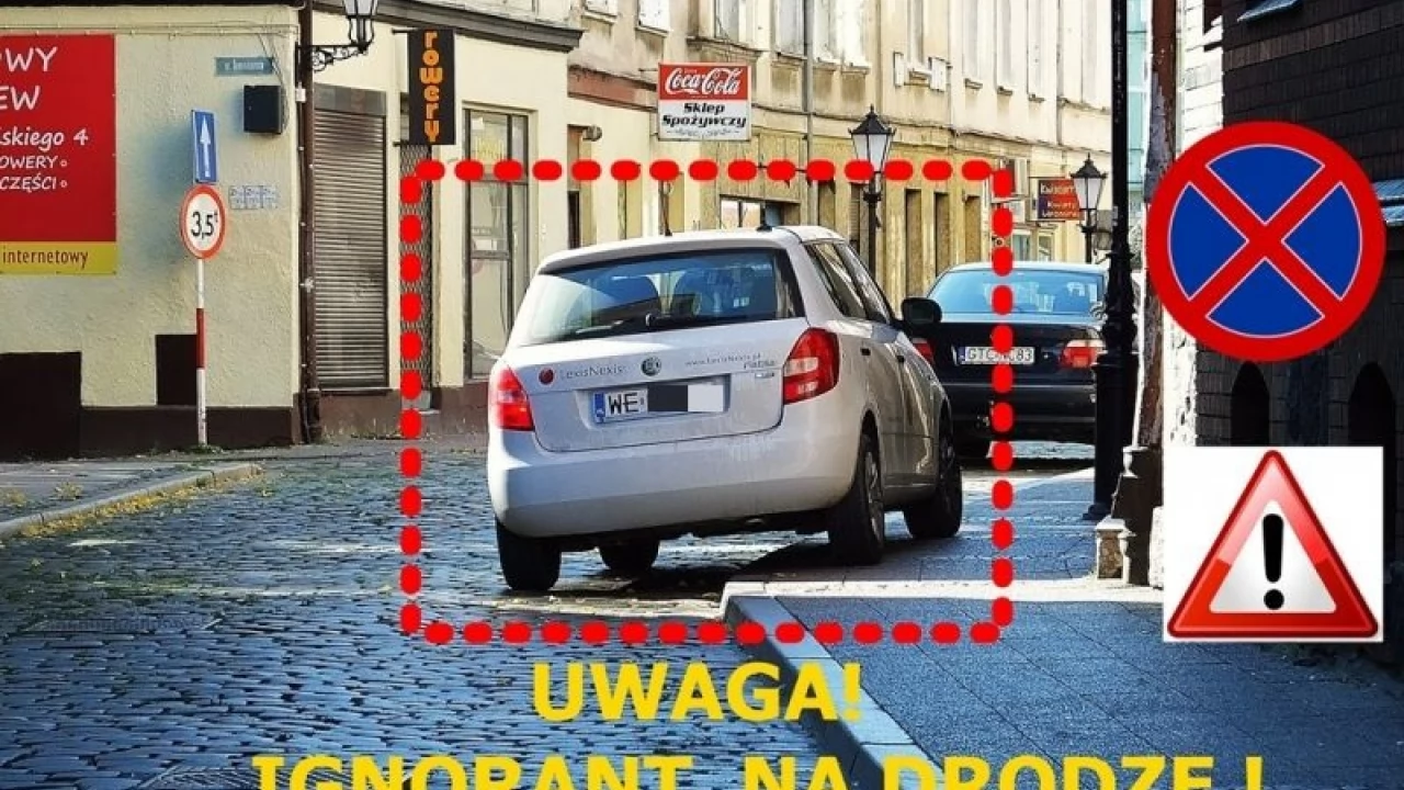 Ignoranci wokół nas!