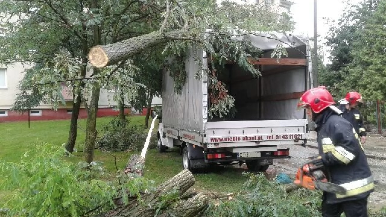 Jagiełły. Drzewo runęło na samochód