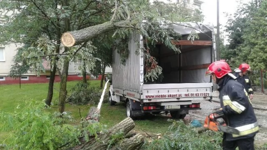 Drzewo runęło na samochód