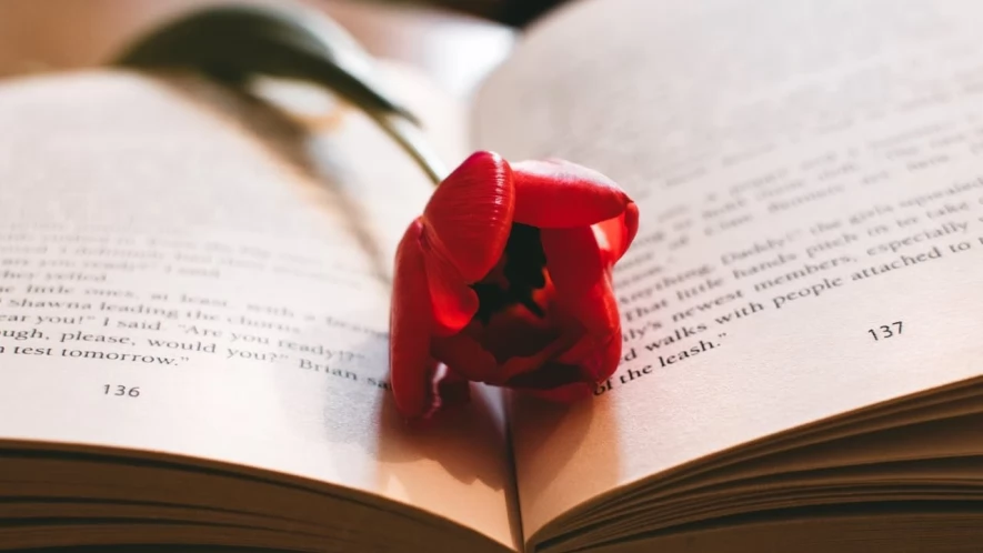 Jak literatura rozwija empatię i zrozumienie innych?
