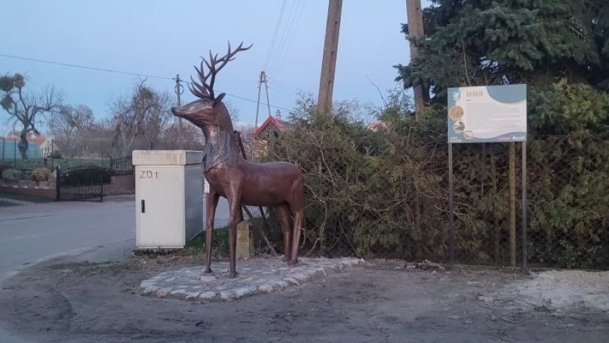 Jeleń wita w Jeleniu