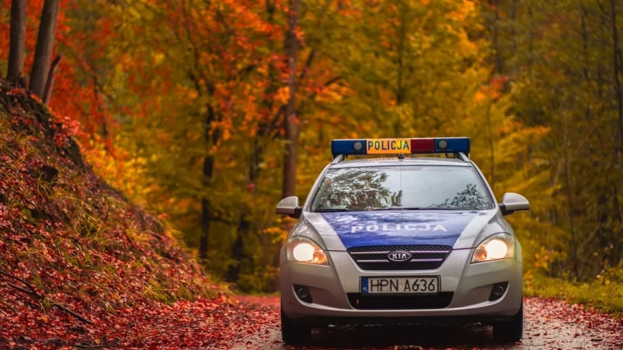 Jesienią bądź widoczny na drodze