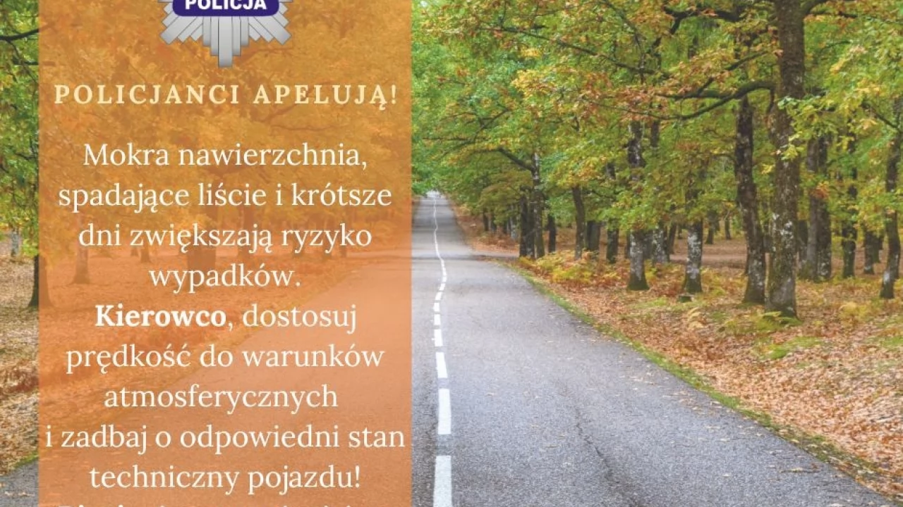 Jesienna jazda zwiększa ryzyko wypadków
