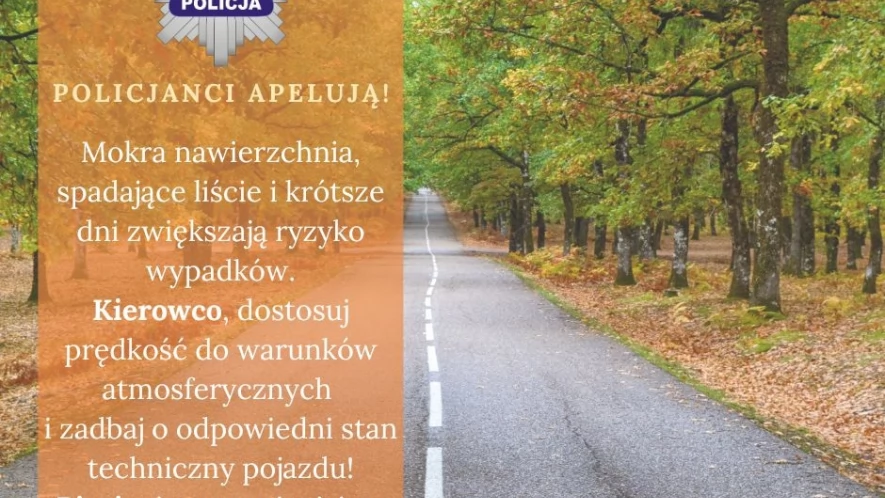 Jesienna jazda zwiększa ryzyko wypadków