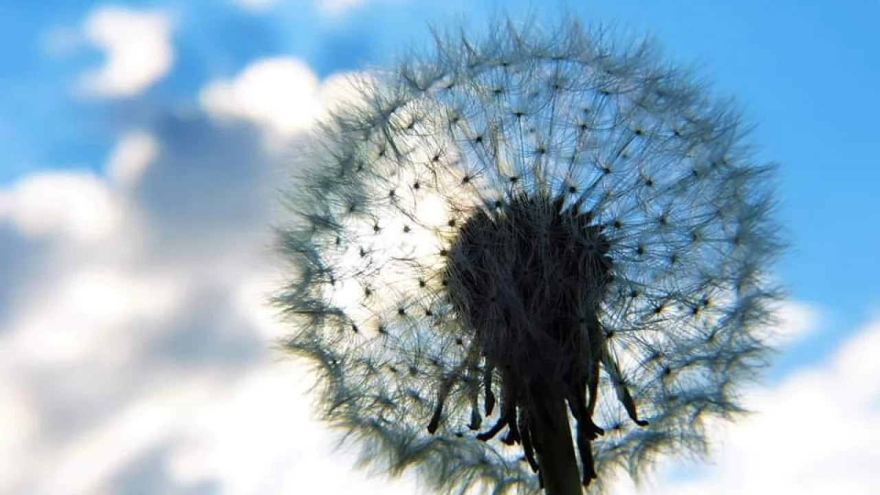 Jestem Spokojem. Mindfulness (Uważność) w Tczewie