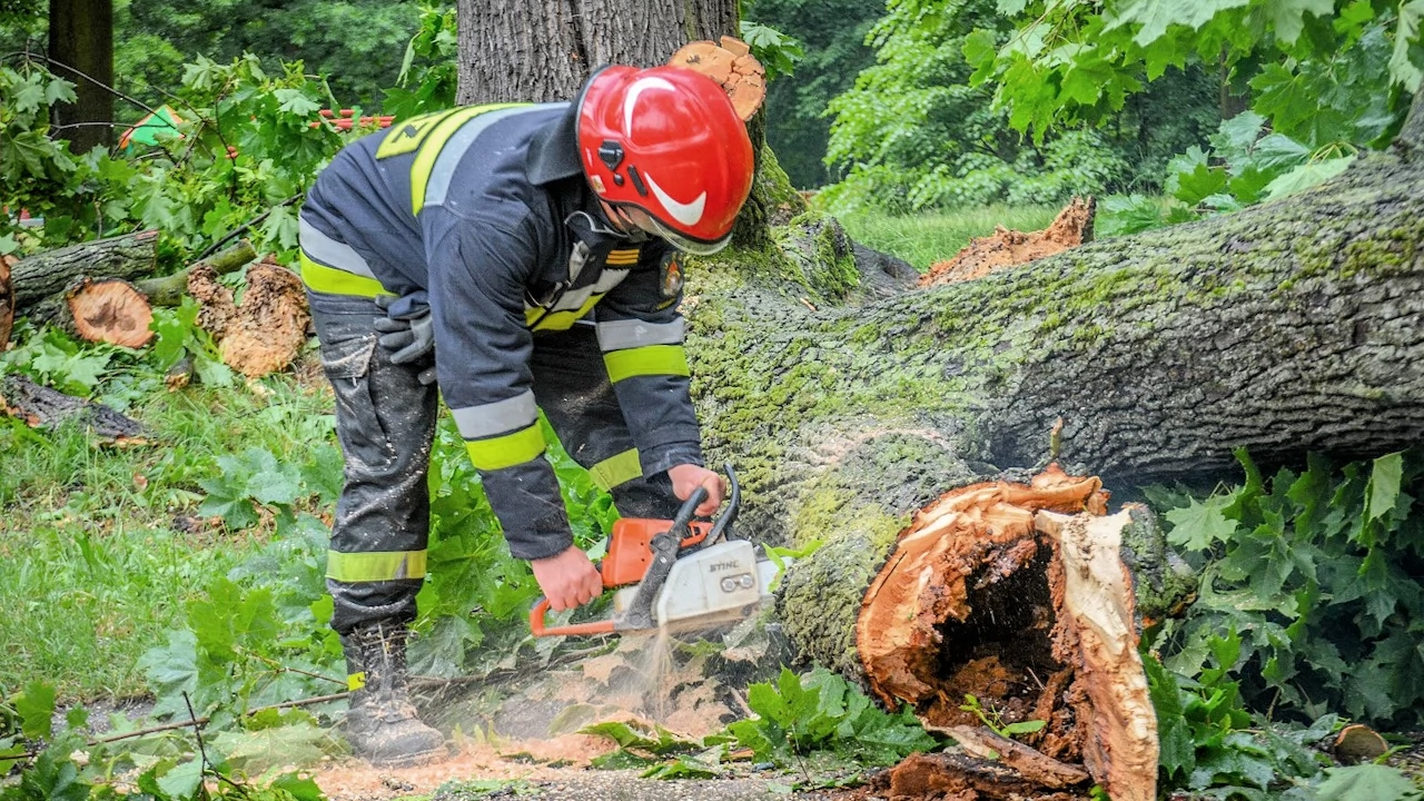 Kilkanaście interwencji z powodu silnego wiatru