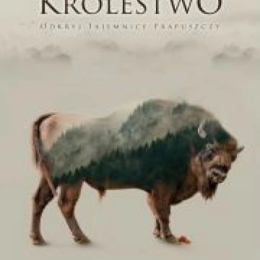 Kino Konesera - Królestwo