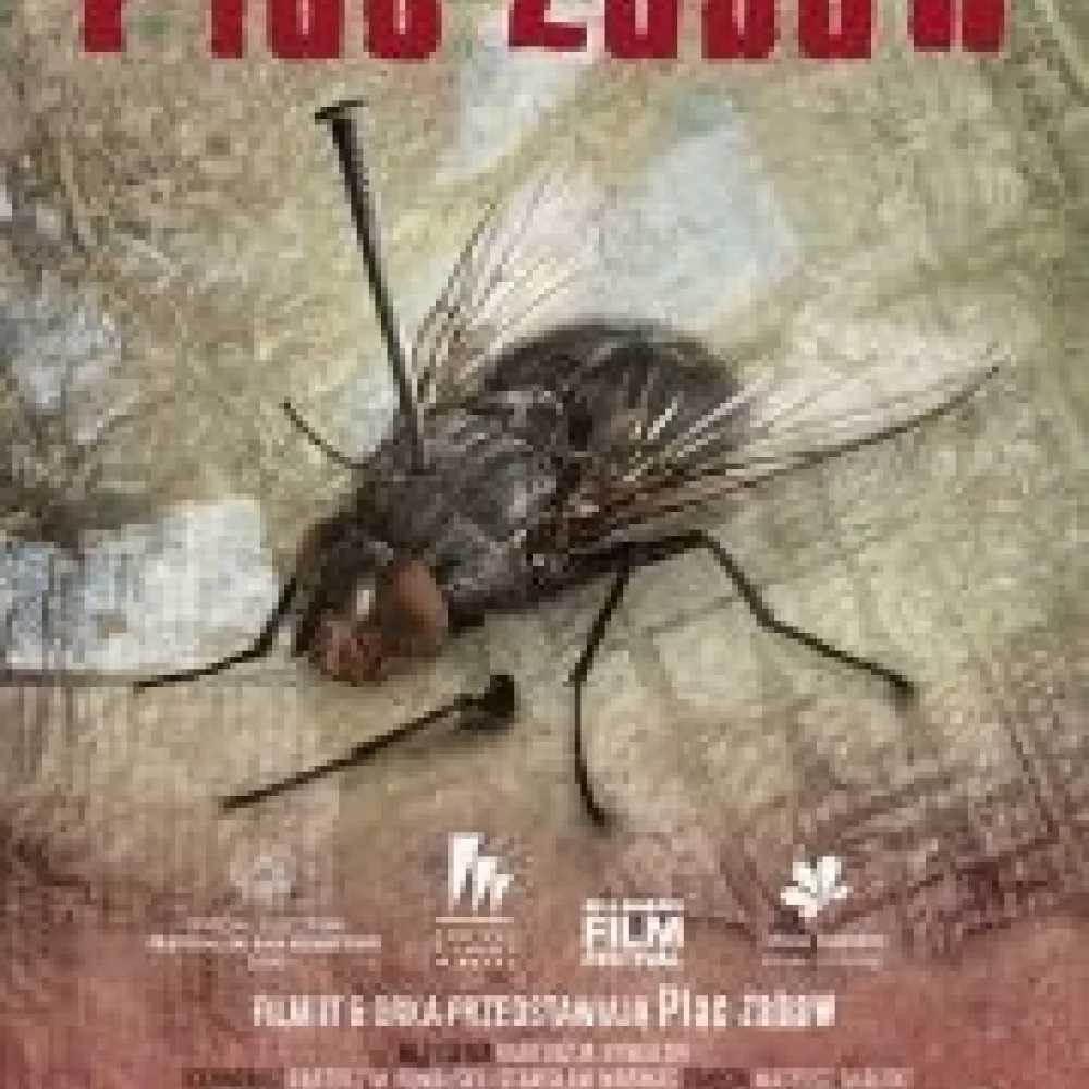 Kino Konesera. Plac zabaw